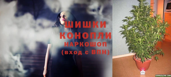 прущие грибы Сатка