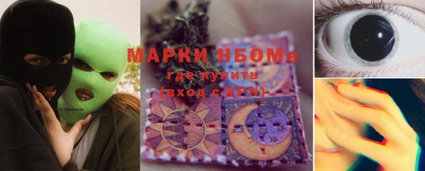 гашик Алзамай