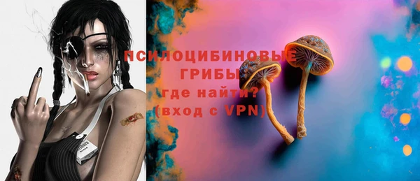 ГАЛЛЮЦИНОГЕННЫЕ ГРИБЫ Алексин