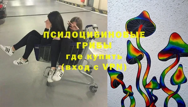 гашик Алзамай
