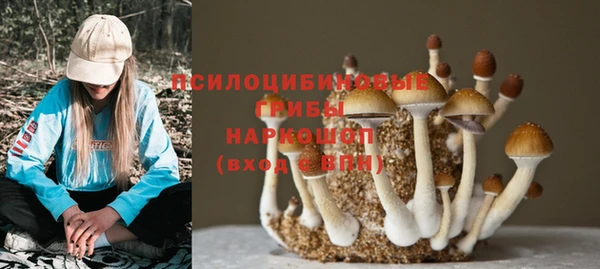 гашик Алзамай